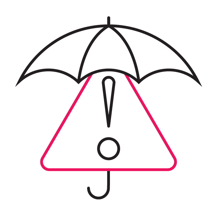 CP-Icons_Risk Protection